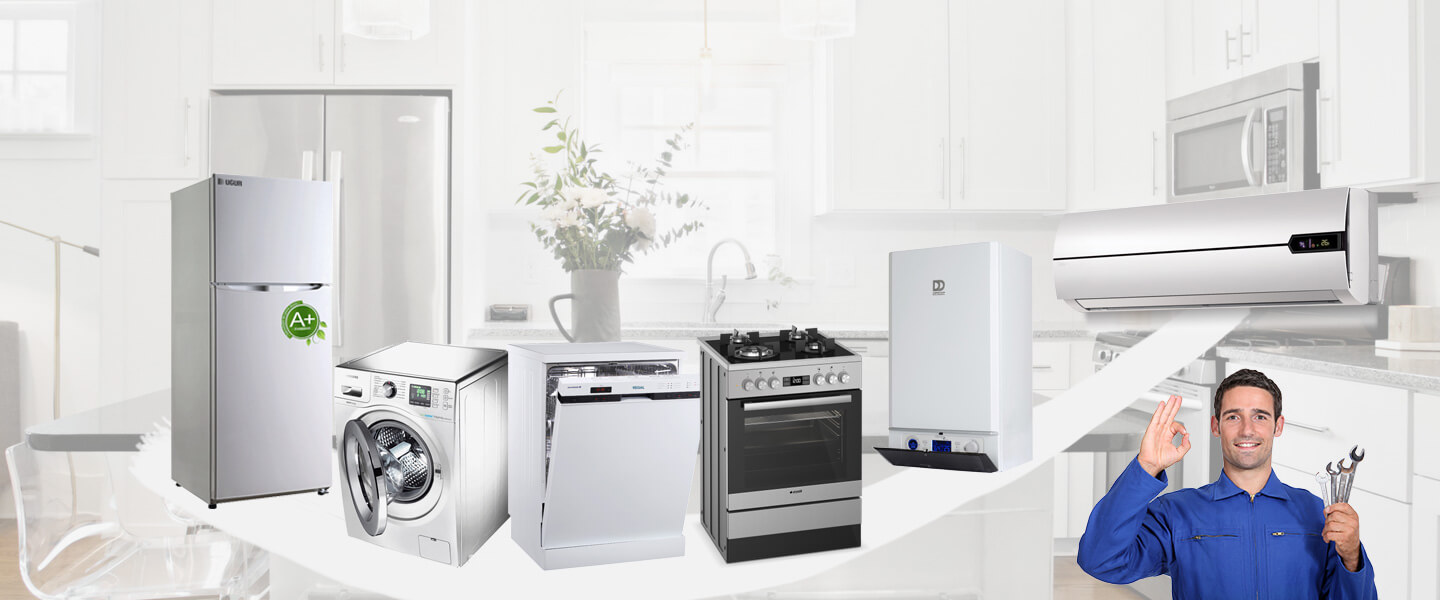 Alucra Silverline Servisi